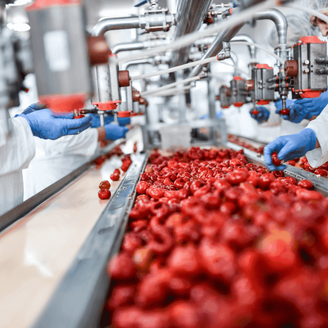 Food and beverage production